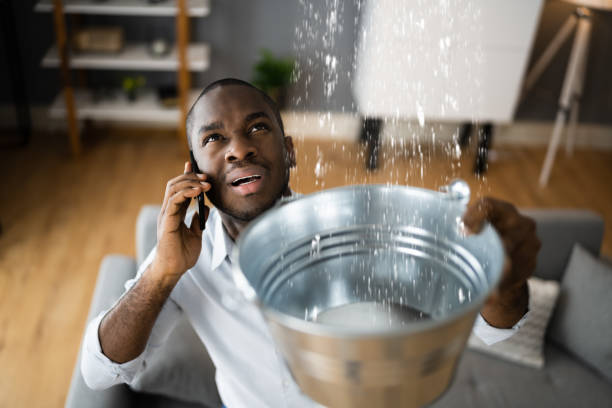 Best Ceiling water damage repair  in Grand Ronde, OR