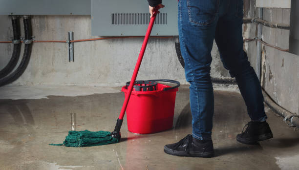 Best Water damage contractors near me  in Grand Ronde, OR