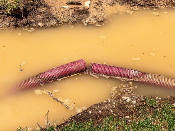 Best Water damage cleanup near me  in Grand Ronde, OR