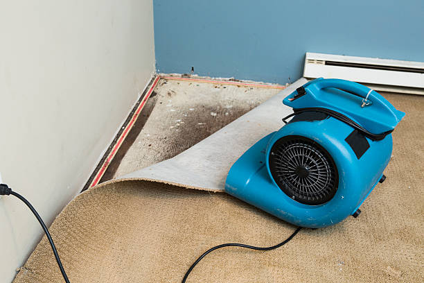 Trusted Grand Ronde, OR Water damage restoration Experts